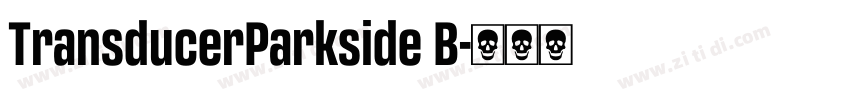 TransducerParkside B字体转换